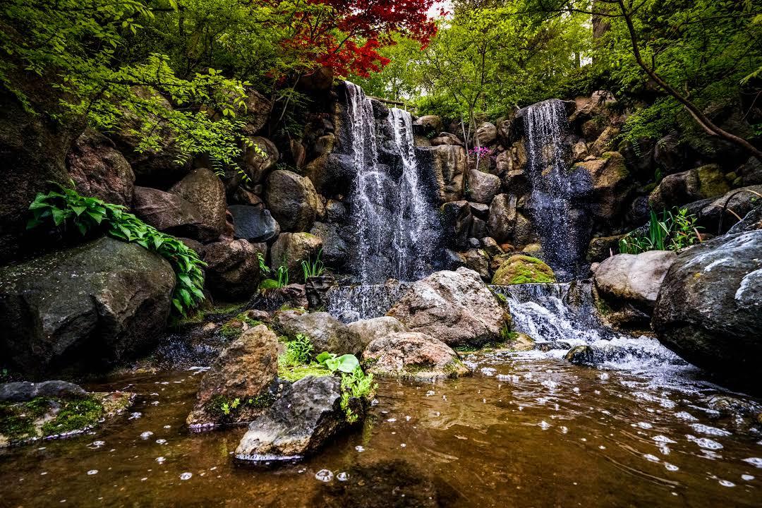 Anderson Japanese Gardens