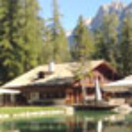 Ponderosa