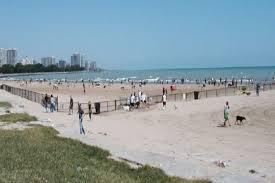 Montrose Dog Beach