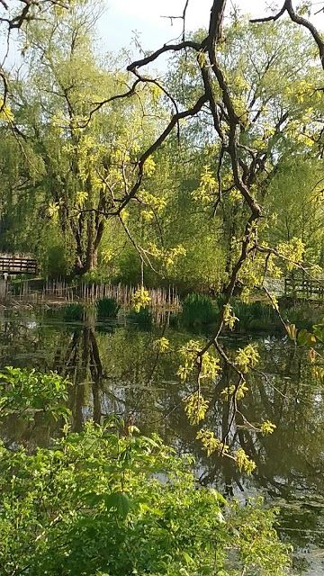 Veteran Acres Park