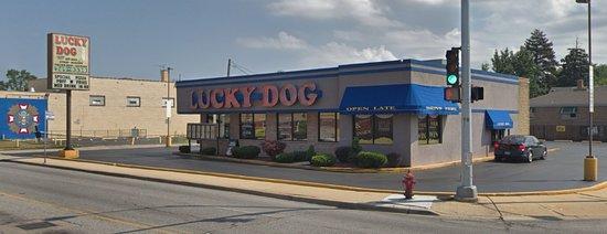 Lucky Dog