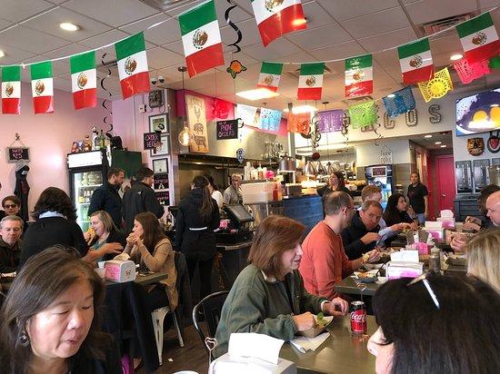 Taco Vida