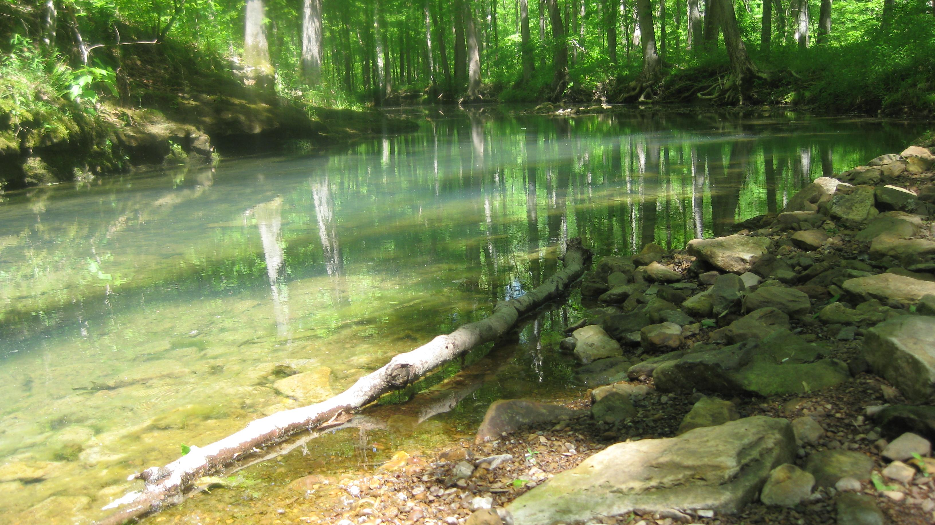 Panther Den Wilderness