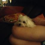 Quiznos