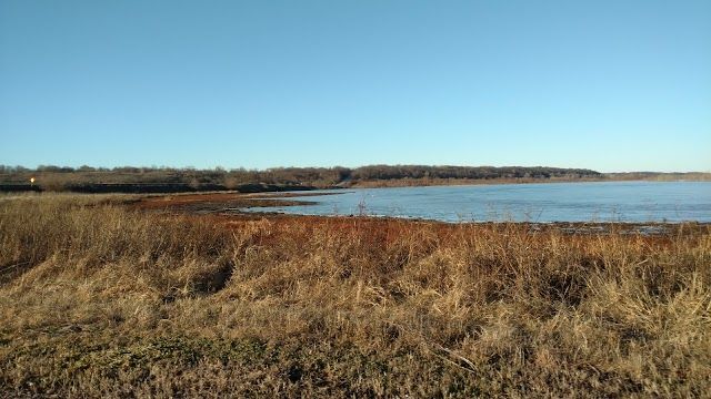 Emiquon National Wildlife Refuge