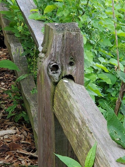 Horner Park