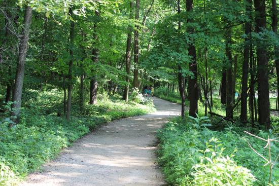 Forest Park