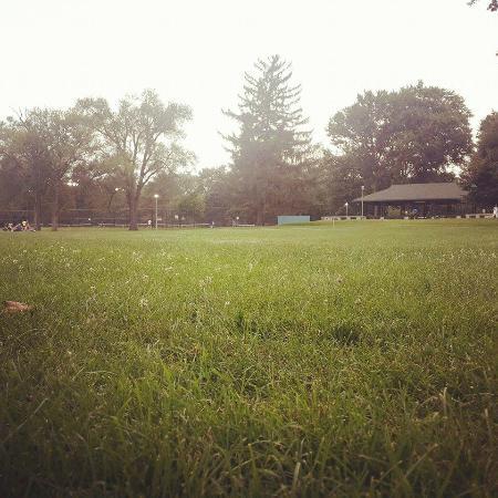 Hessel Park