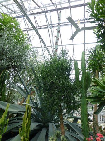 Oak Park Conservatory