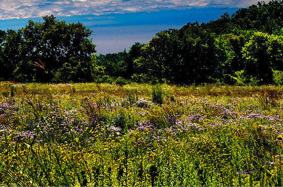 Chain O' Lakes State Park